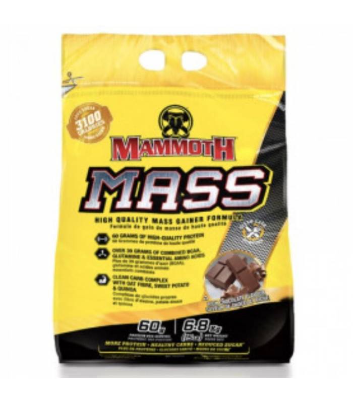 MAMMOTH MASS - INTERACTIVE NUTRITION
