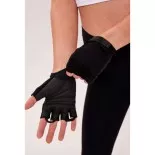 GANTS TRACY - BIOTECH USA