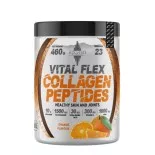 COLLAGÈNE VITAL FLEX (460G) - AZGARD NUTRITION