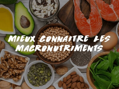 TOUT SAVOIR SUR LES MACRONUTRIMENTS