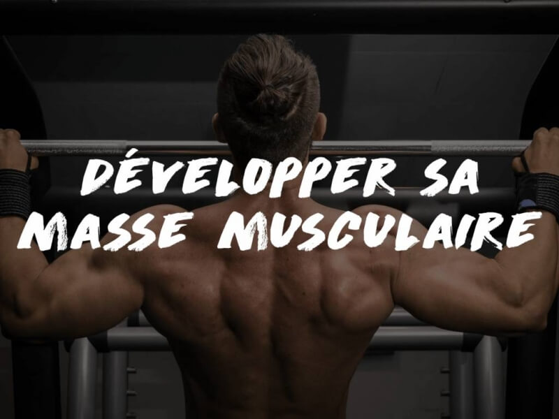 TOUT SAVOIR SUR LE DÉVELOPPEMENT DE LA MASSE MUSCULAIRE