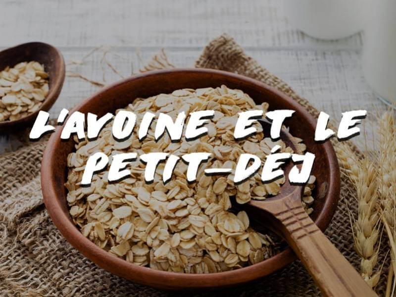 L'AVOINE POUR LE PETIT DÉJEUNER 