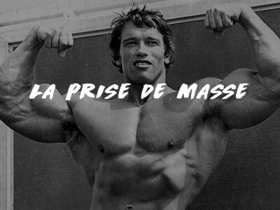 LA PRISE DE MASSE COMME SCHWARZENEGGER
