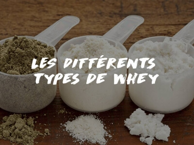 LES DIFFÉRENTS TYPES DE WHEY, POINTS COMMUNS ET DIFFÉRENCES
