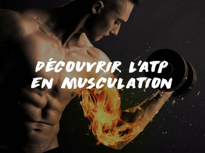 L’ATP EN MUSCULATION, QU'EST CE QUE C'EST ?