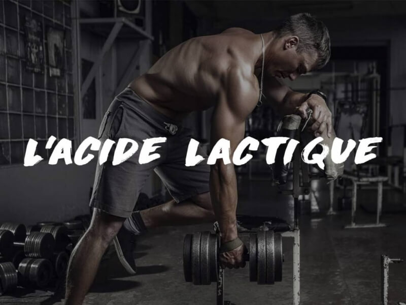 L'ACIDE LACTIQUE DURANT L'EFFORT