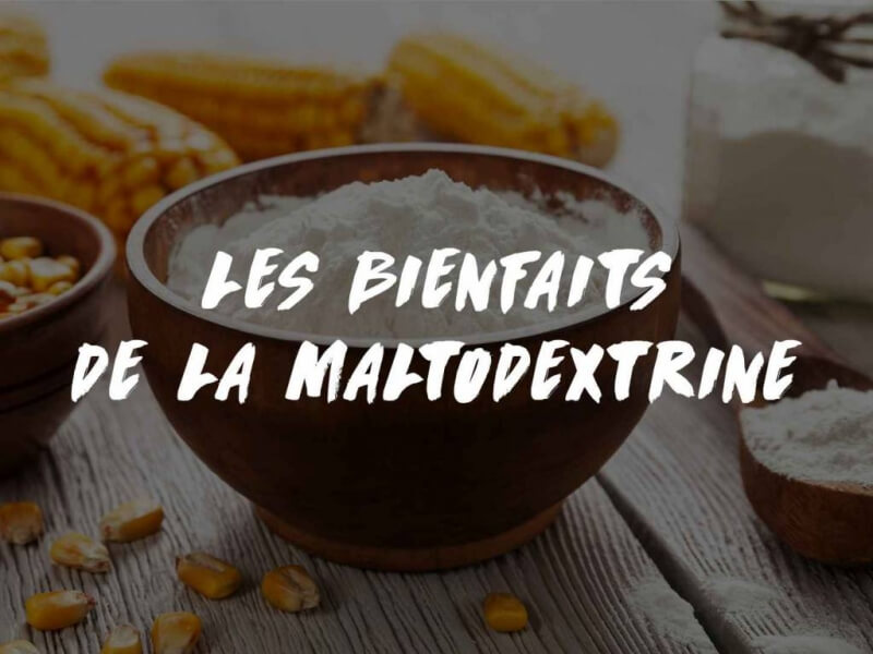 LA MALTODEXTRINE: SES BIENFAITS EN MUSCULATION