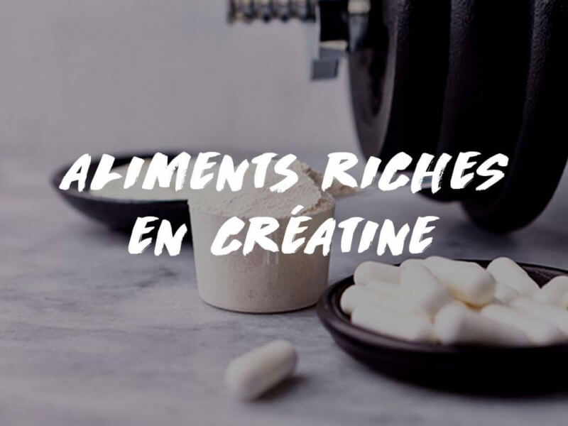 LA CRÉATINE ET L'ALIMENTATION 