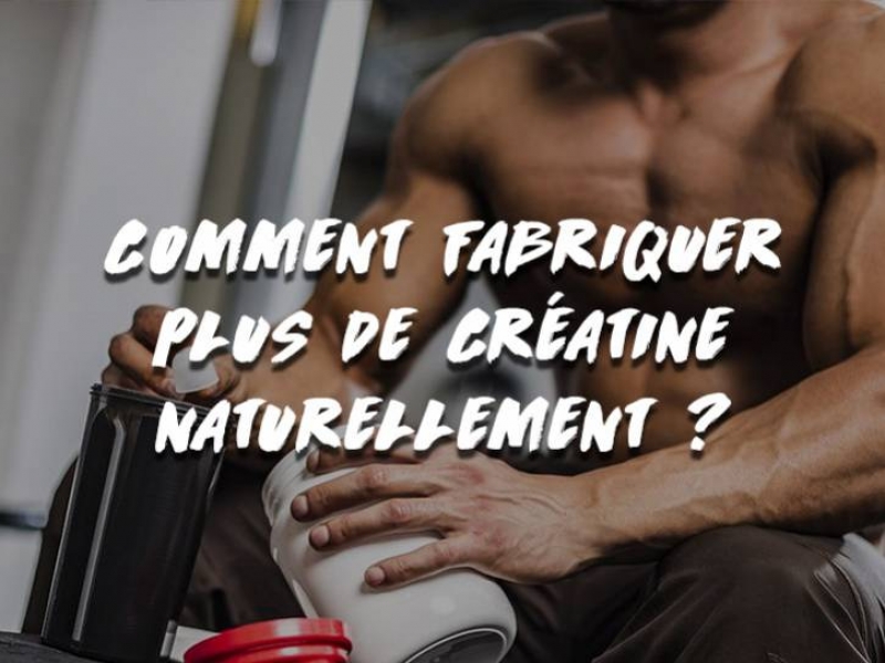 COMMENT FABRIQUER PLUS DE CRÉATINE NATURELLEMENT ?