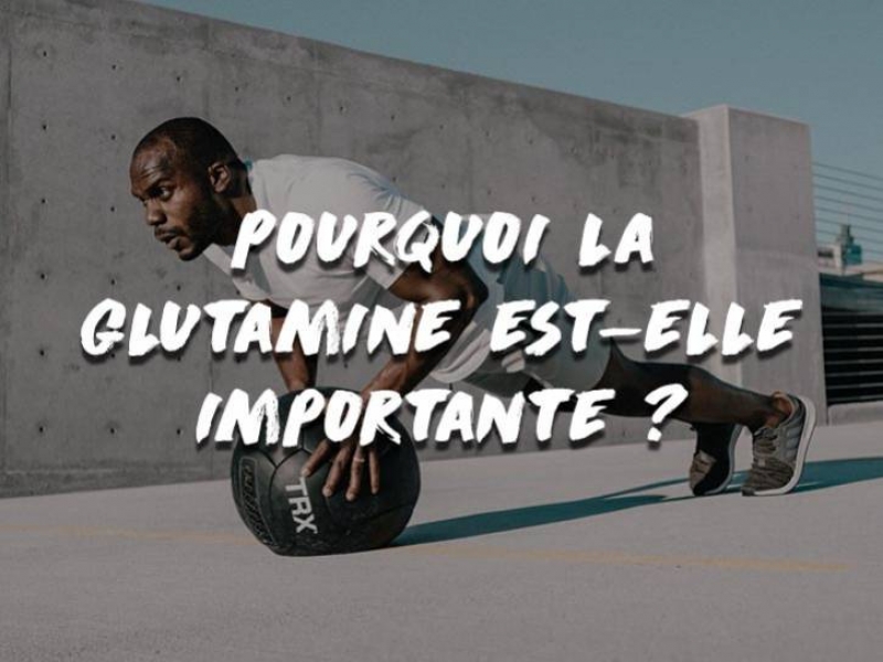 POURQUOI LA GLUTAMINE EST-ELLE IMPORTANTE ?