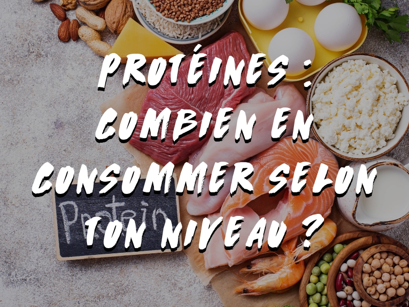 PROTÉINES : COMBIEN DE GRAMME PAR JOUR ET POUR QUI ? 