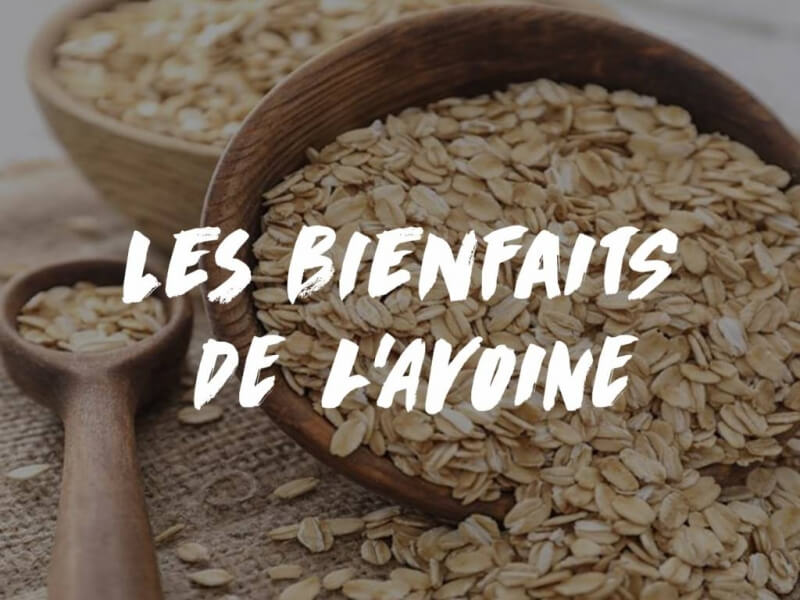 LES BIENFAITS DE L'AVOINE 