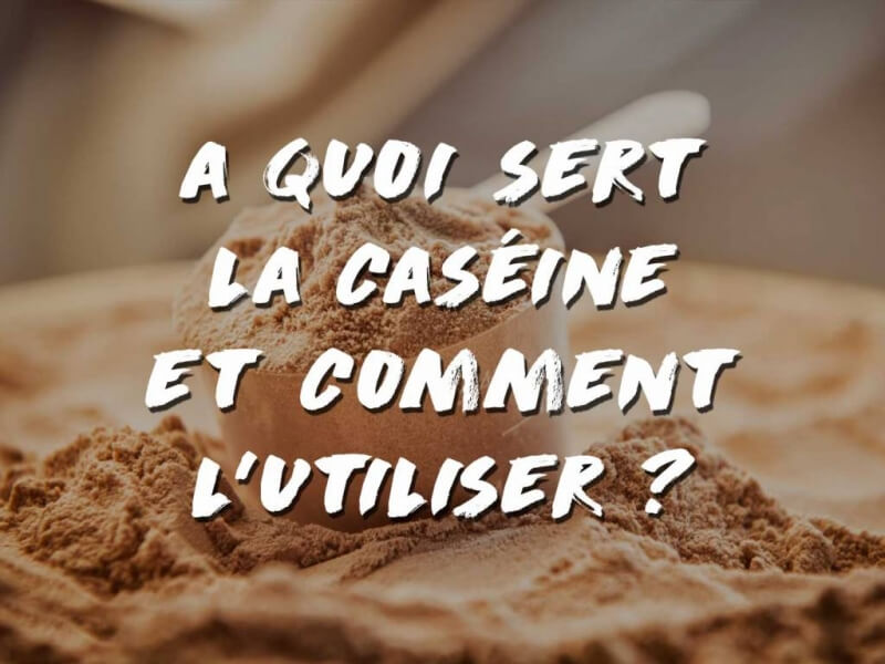 A QUOI SERT LA CASÉINE ET COMMENT L'UTILISER ?