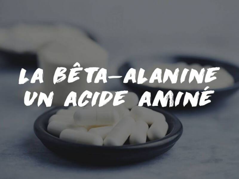DÉCOUVREZ LA BÊTA-ALANINE : UN ACIDE AMINÉ