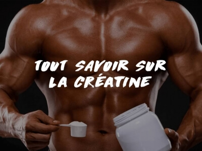 TOUT SAVOIR SUR LA CREATINE : SES AVANTAGES